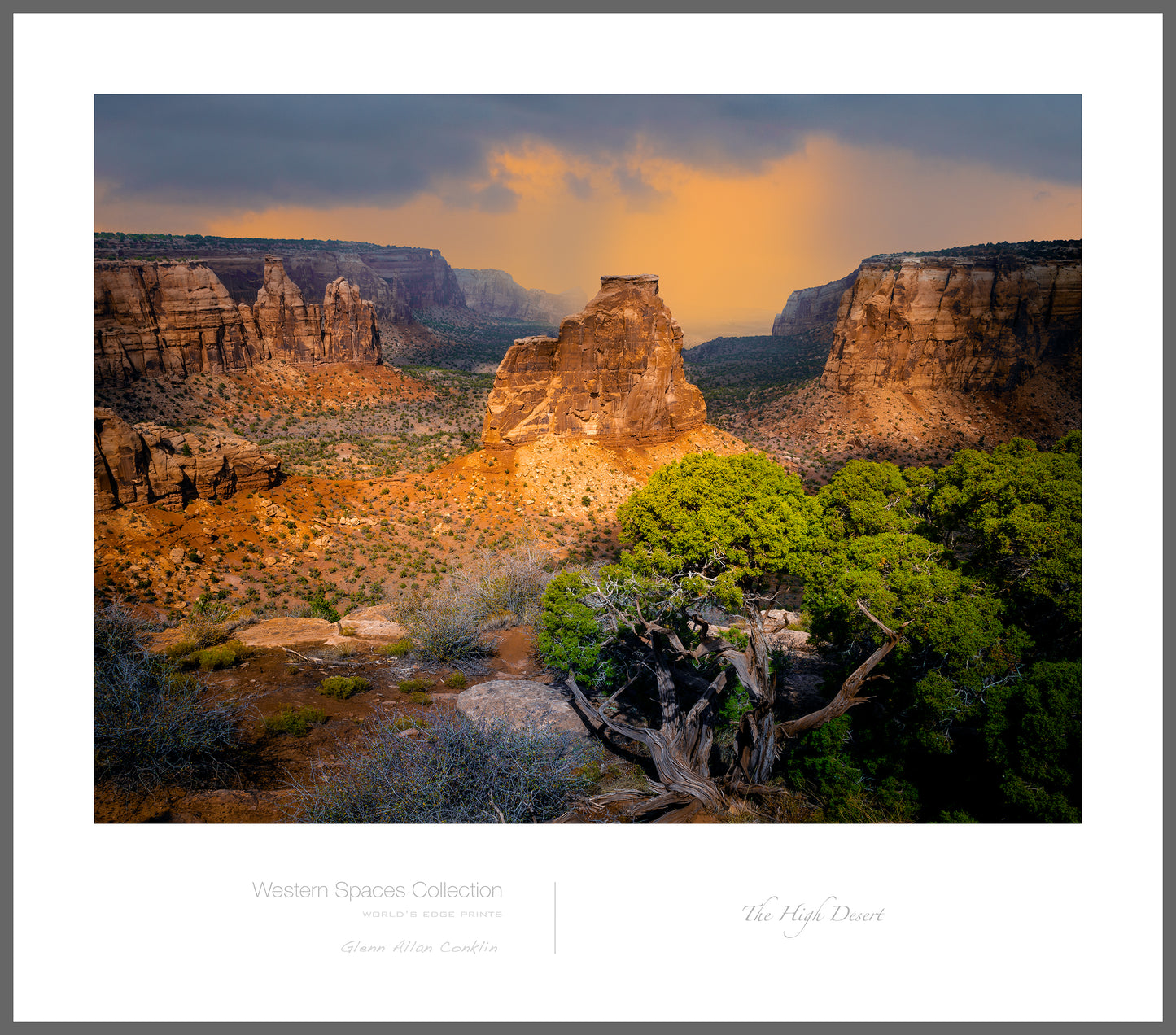 The High Desert