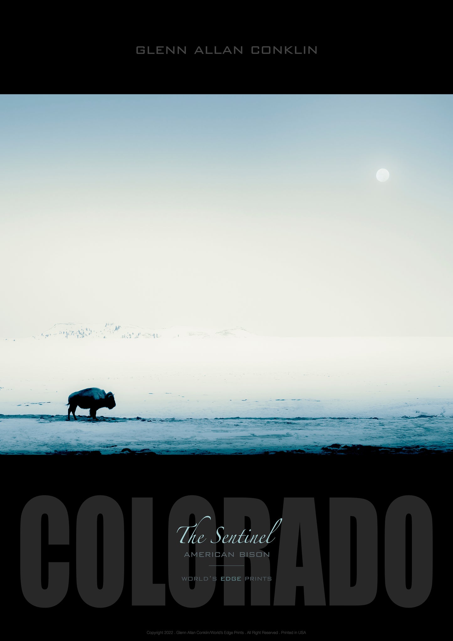 THE SENTINEL / Premium Poster