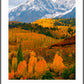 Autumn Splendor