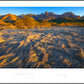 DESERT LIGHT