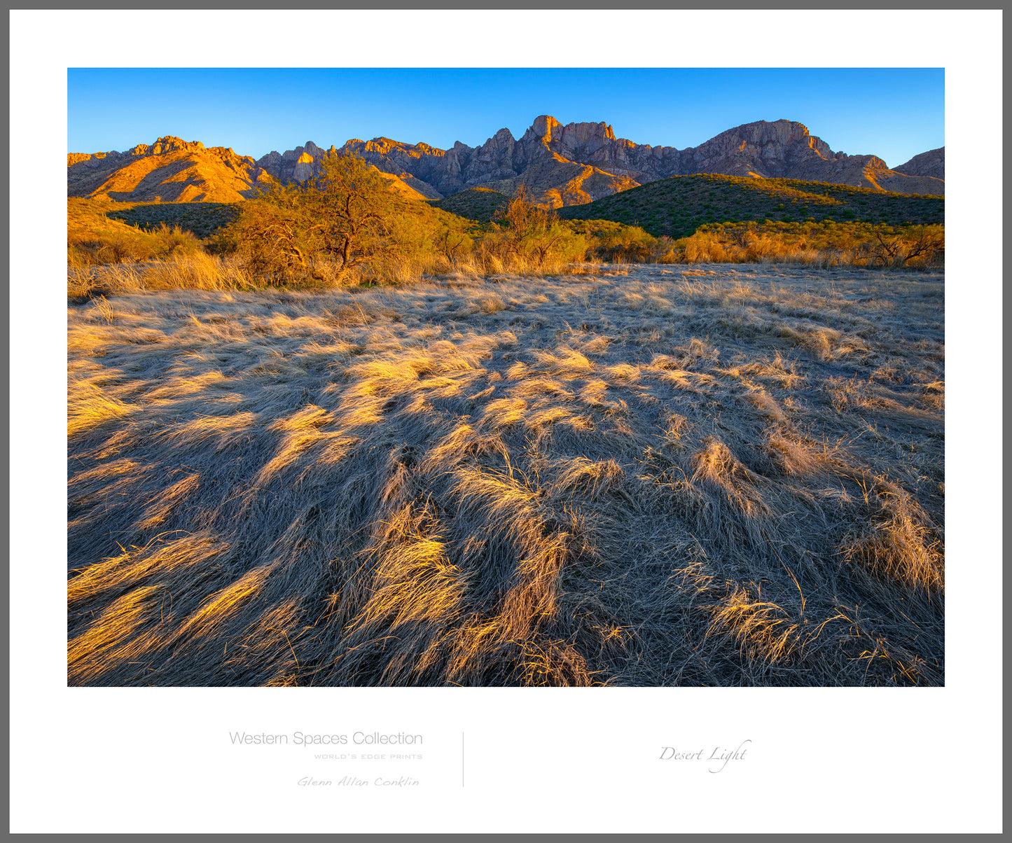 DESERT LIGHT