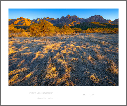 DESERT LIGHT