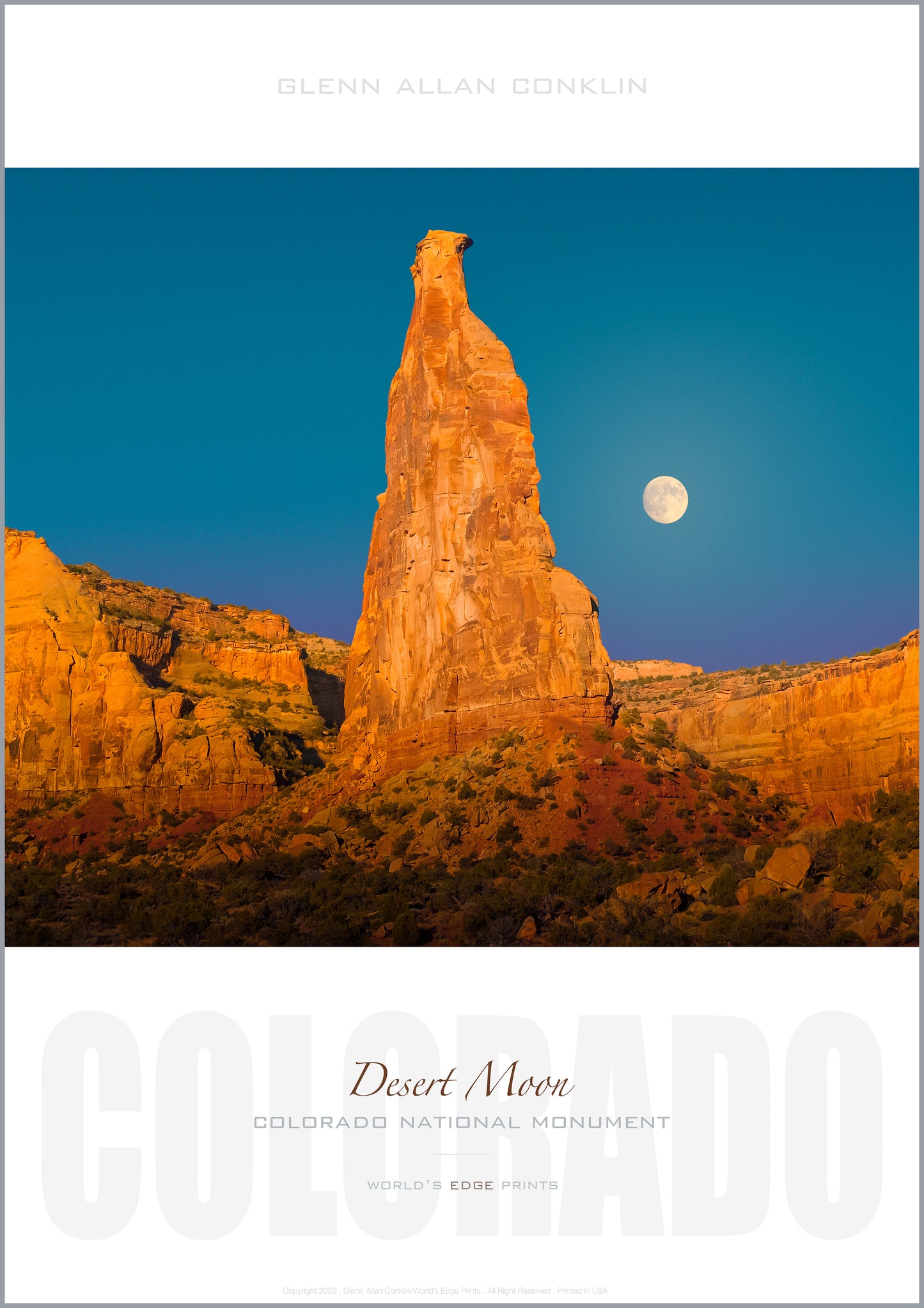DESERT MOON / Premium Poster