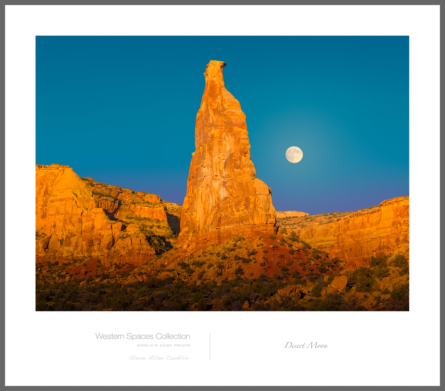 Desert Moon
