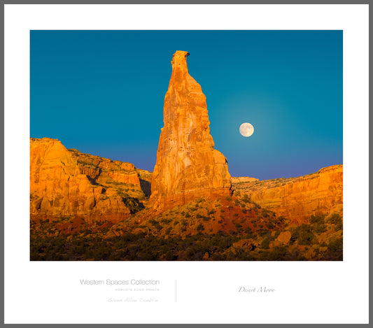 Desert Moon