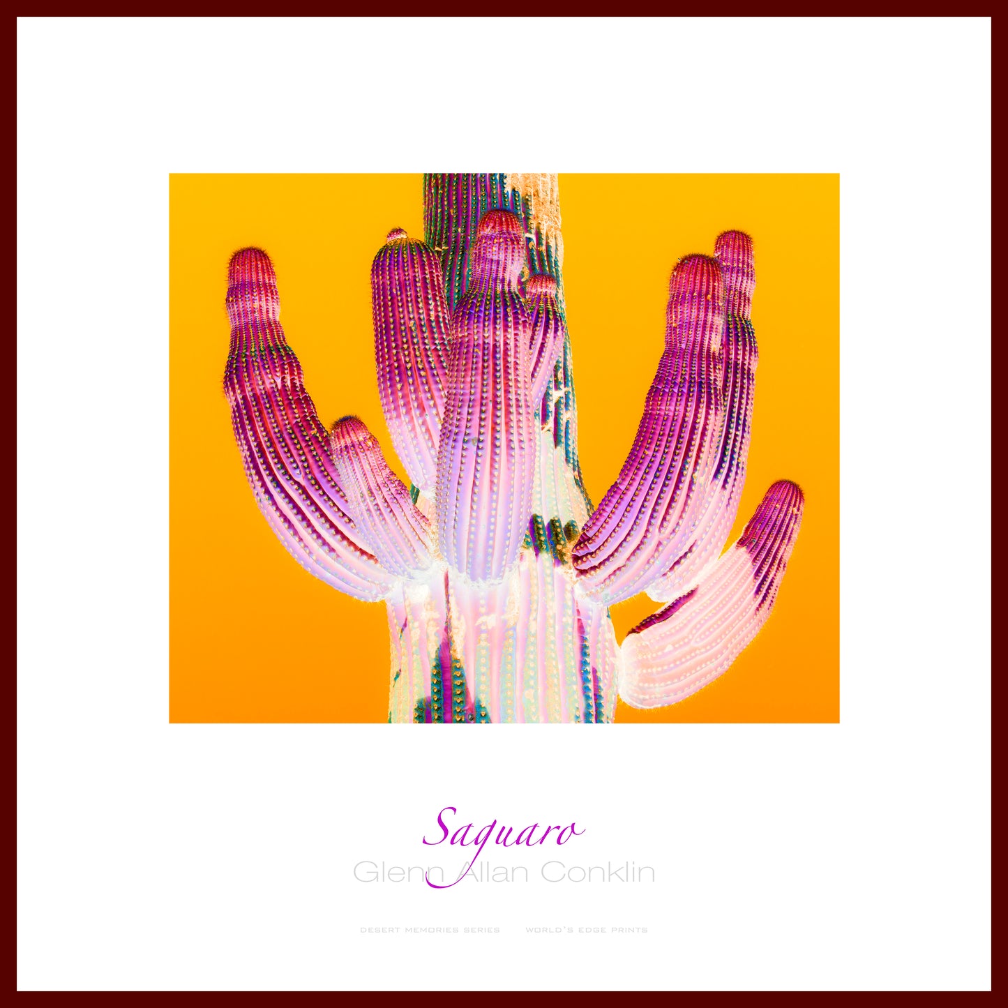 Saguaro