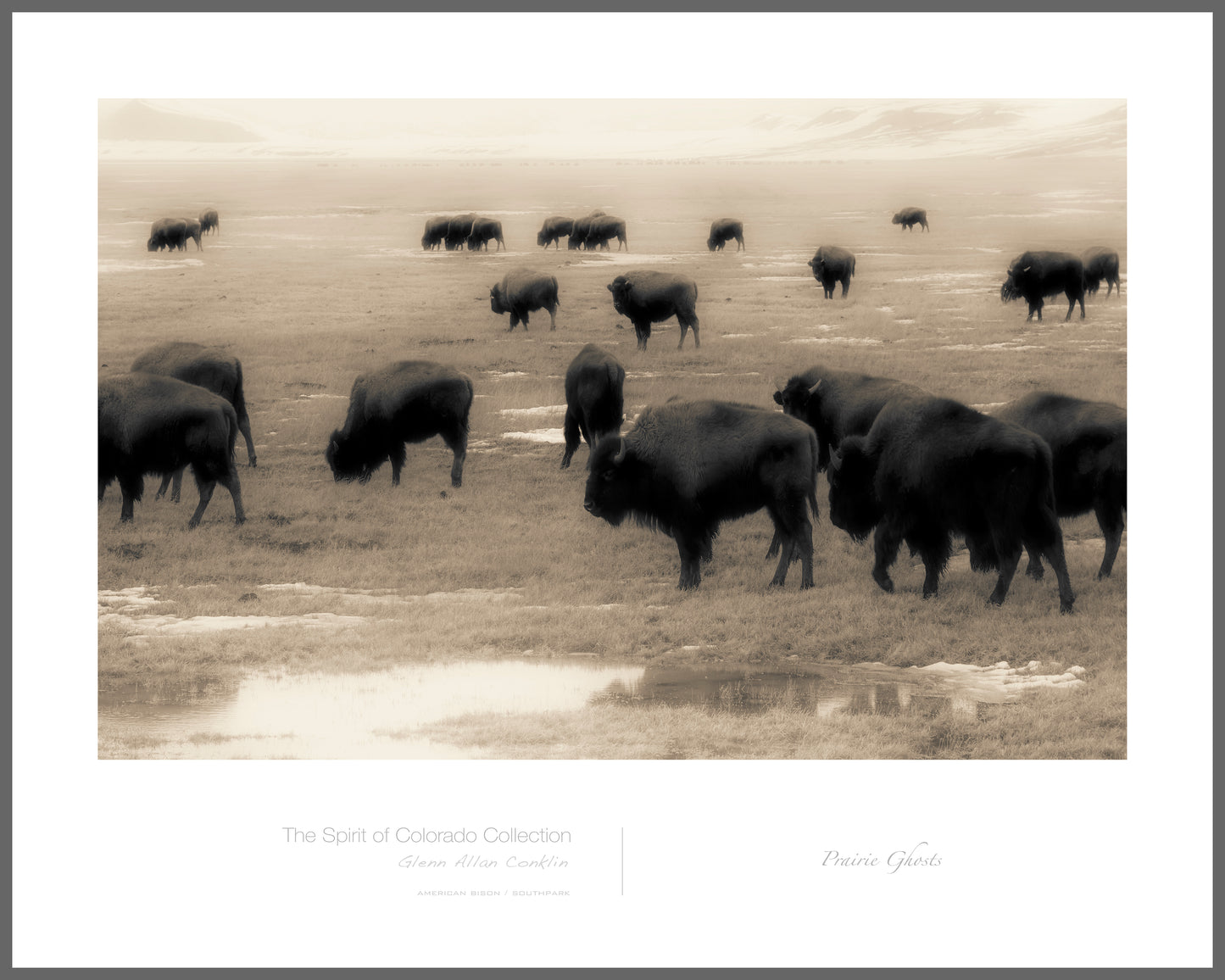 Prairie Ghosts