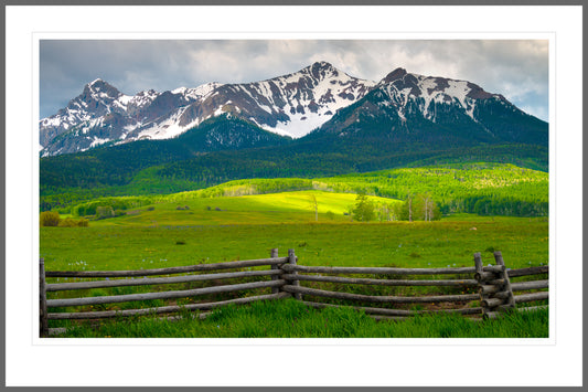 Summer Meadows