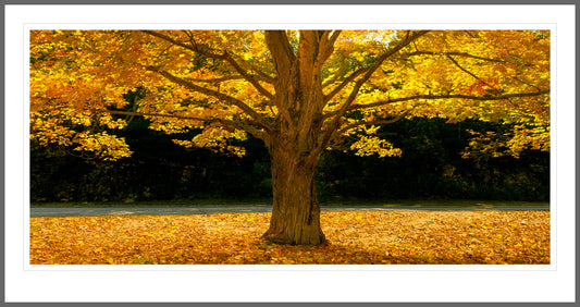 The Golden Bough