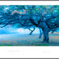 The Orchard
